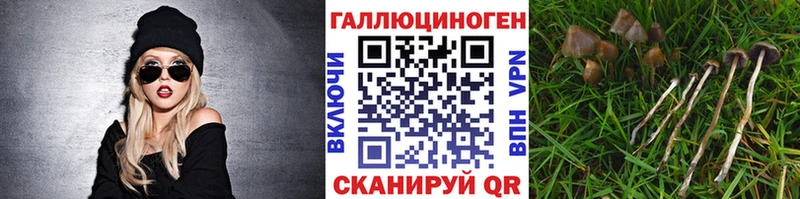 Псилоцибиновые грибы мухоморы где найти Крымск